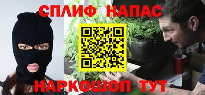тгк Пугачёв