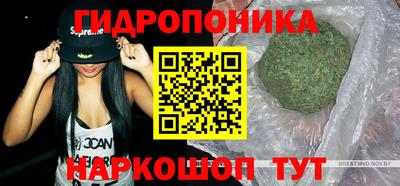 шишки Пушкино