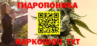 шишки Пушкино