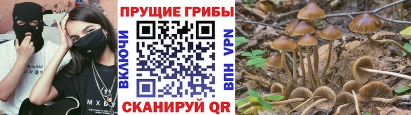 Псилоцибиновые грибы мицелий  МЕГА ссылки  Аксай 